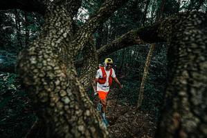 BIB: 
                            <button type="button" onclick="openModal(25685738)" class="btn btn-primary btn-sm float-right btn-popup" data-toggle="modal" data-target=".modal-high-quality">
                        <i class="fas fa-shopping-cart"></i> Add to Cart
                    </button>
                                            <button type="button" onclick="isThisMe(25685738, true)" class="btn btn-success btn-sm float-right btn-popup btn-isme hidden" data-toggle="tooltip" data-placement="bottom" title="นี่คือรูปของคุณใช่ไหม คลิกที่นี่เพื่อเอาเข้าอัลบั้ม">
                        <i class="fas fa-plus"></i> Add to album
                    </button>
                    <button type="button" onclick="isThisMe(25685738, false)" class="btn btn-warning btn-sm float-right btn-popup btn-isnotme hidden">
                        <i class="fas fa-ban"></i> Remove from album
                    </button>